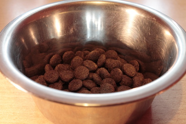 Read this before 'you eat your own dog food'