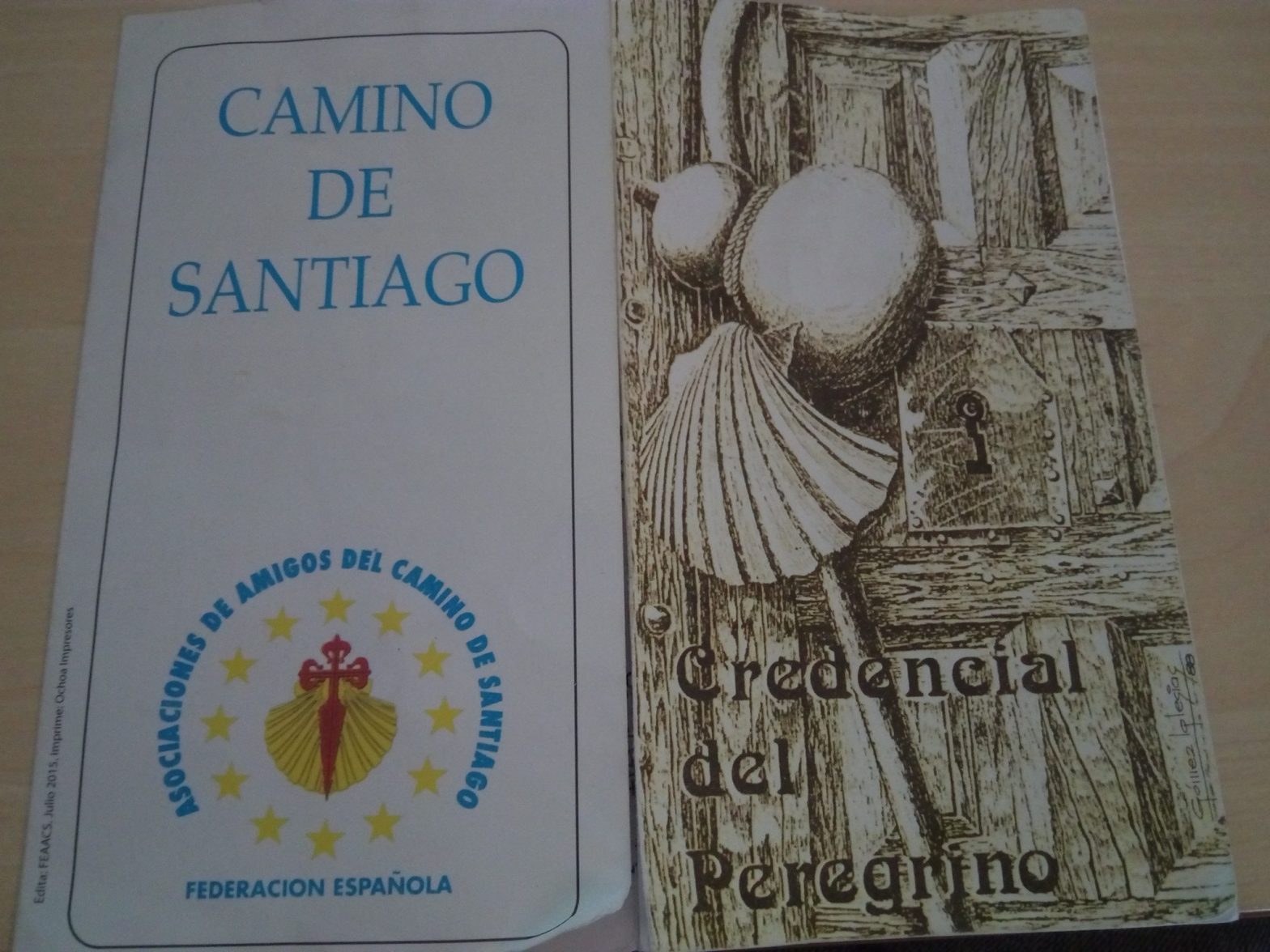 My Camino is over for now. I walked 255 km for ME/CFS